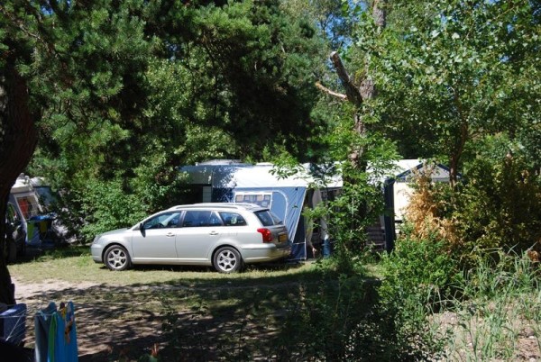 Emplacement Standard 2 Pers. - Camping la Pinède