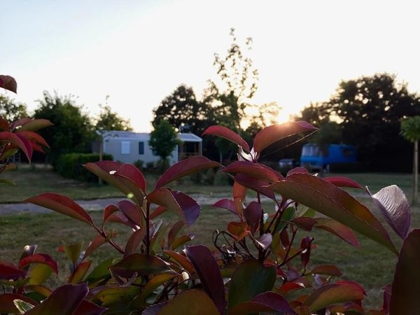 Camping Au Pré de l'Etang