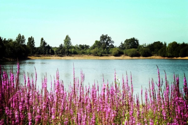 Camping Au Pré de l'Etang