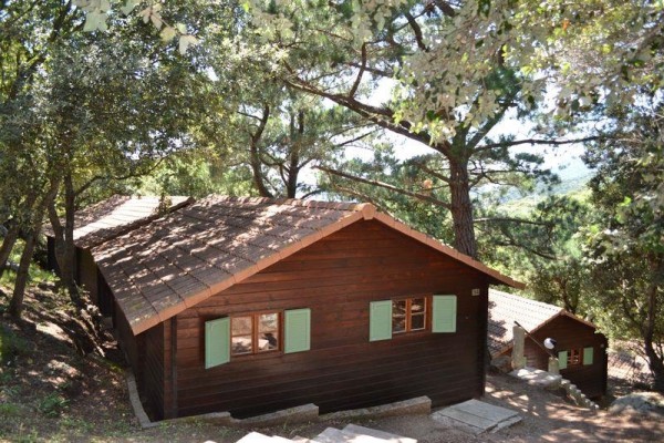 Chalet CLASSIQUE PLUS - 2 bedrooms. 14 chalets (B01 à B14) 5 Ppl. - Camping L'Esplanade