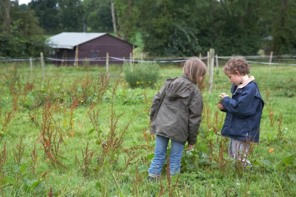 Camping la Ferme de la Folivraie