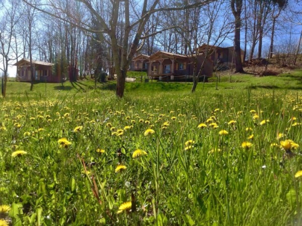 Les Chalets du Bois de la Pause