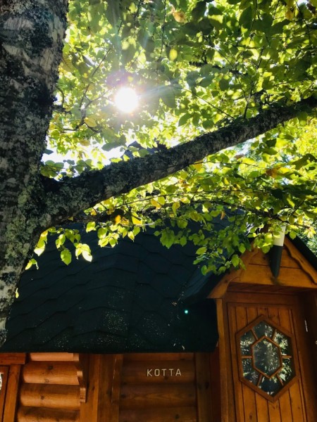 La Cabane du Charme 2/4 Pers. - Les Chalets du Bois de la Pause